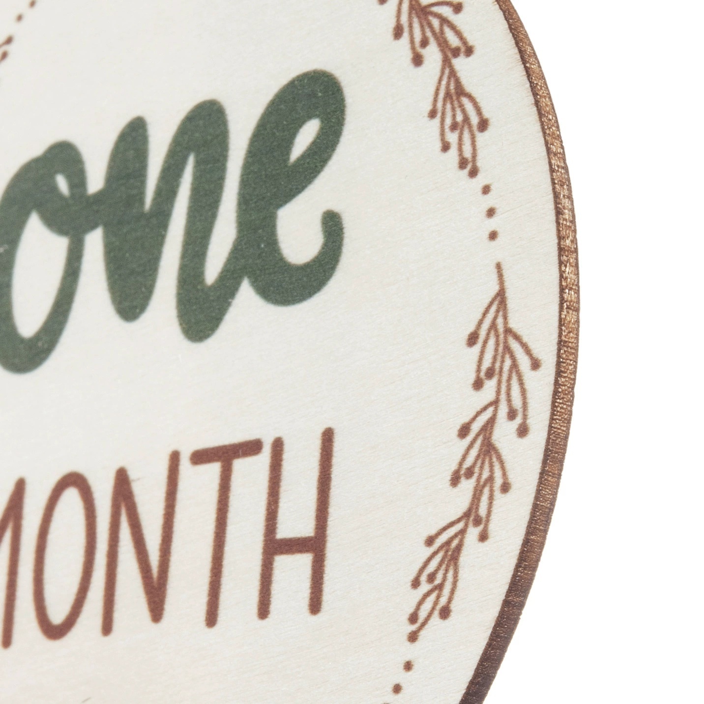 Baby Monthly Milestone Card Wooden Board