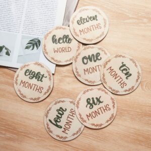 Baby Monthly Milestone Card Wooden Board