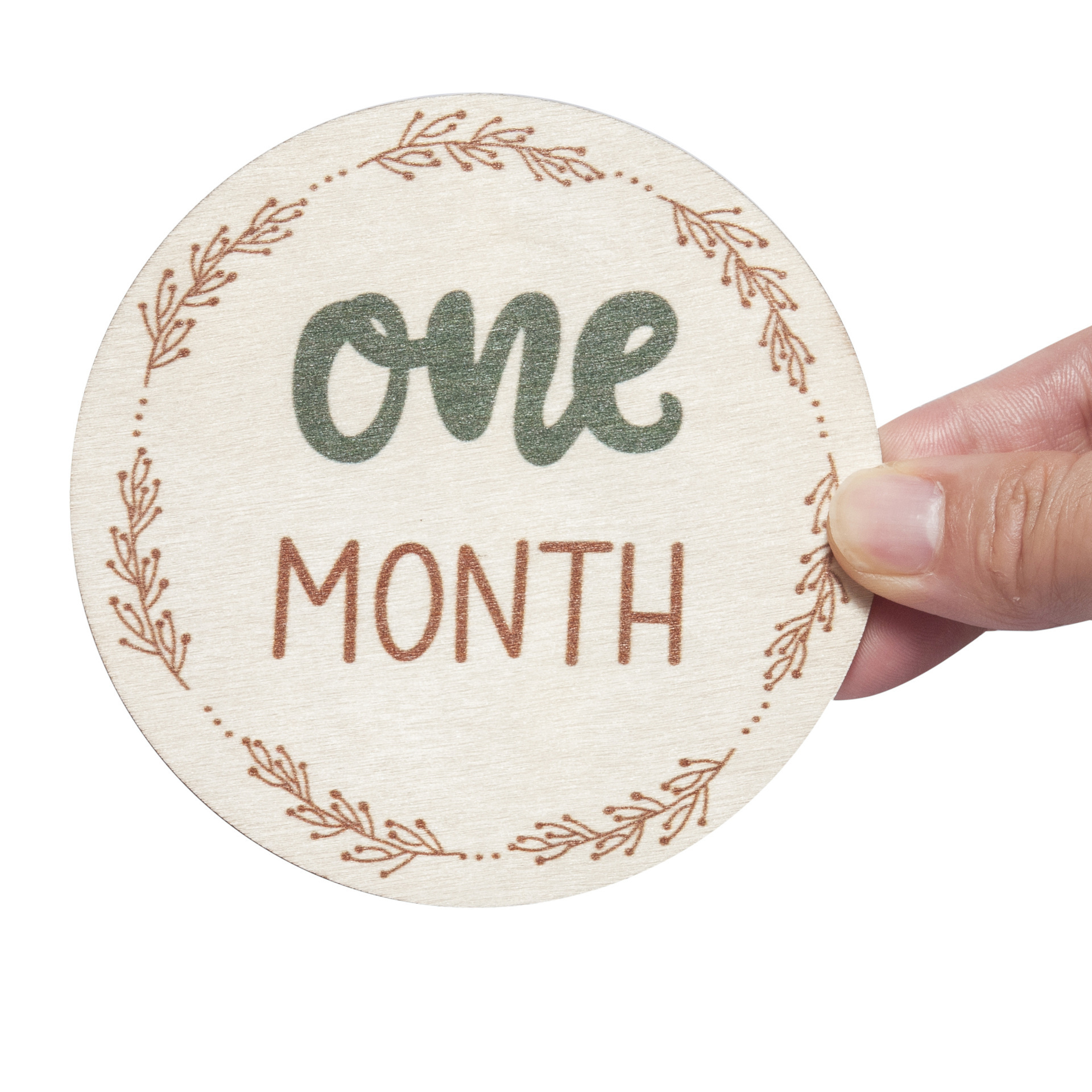 Baby Monthly Milestone Card Wooden Board